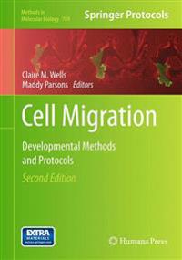 Cell Migration