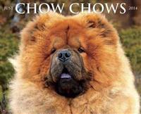 Chow Chows Wall Calendar