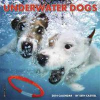 Underwater Dogs Mini Wall Calendar