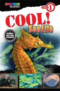 Cool! Sea Life