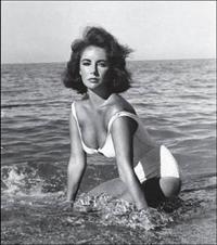 Elizabeth Taylor Suedelux Journal