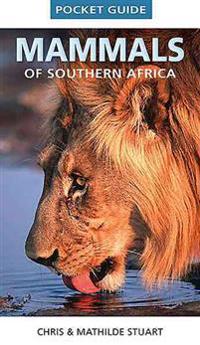 Pocket Guide Mammals of Southern Africa