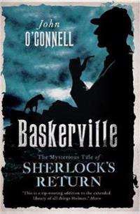 Baskerville Legacy: A Confession