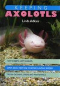Keeping Axolotls