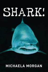 Shark!