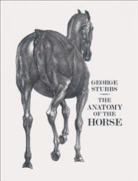 the Anatomy of the Horse