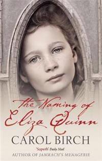 The Naming of Eliza Quinn