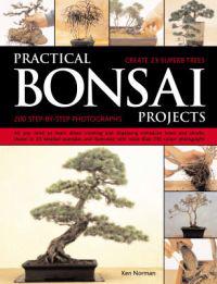 Practical Bonsai Projects