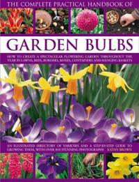 The Complete Practical Handbook of Garden Bulbs