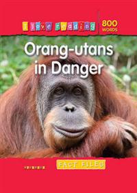 I Love Reading Fact Files 800 Words: Orang-utans in Danger