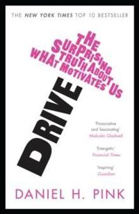 Drive: The Surprising Truth about What Motivates Us