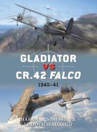 Gladiator vs CR.42 Falco