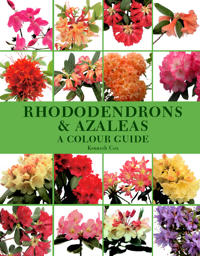 Rhododendrons & Azaleas