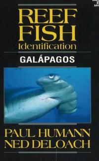 Reef Fish Identification Galapagos