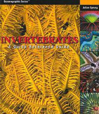 Invertebrates: A Quick Reference Guide