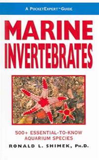 Marine Invertebrates