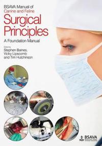 BSAVA Manual of Canine and Feline Surgical Principles: A Foundation Manual