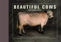 Beautiful Cows Postcard Book