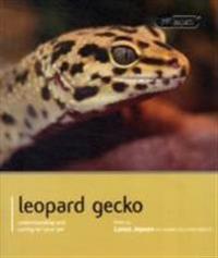 Leopard Gecko - Pet Expert