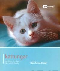Kattungar : hur du kan förstå och ta hand om ditt husdjur