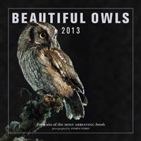 Beautiful Owls 2013