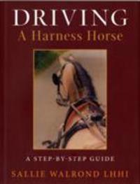 Driving a Harness Horse