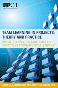 Team Learning in Projects: Theory and Practice