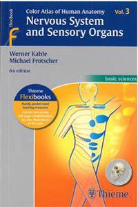 Nervous System and Sensory Organs