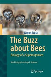 The Buzz About Bees