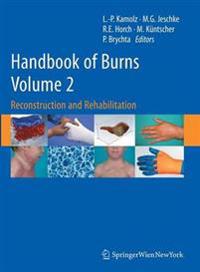 Handbook of Burns