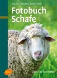 Fotobuch Schafe