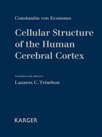 Cellular Structure of the Human Cerebral Cortex