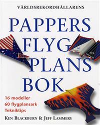 Världsrekordhållarens pappersflygplansbok