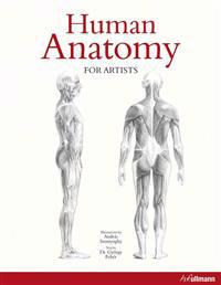 Human Anatomy for Artists