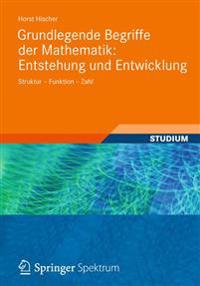 Grundlegende Begriffe der Mathematik: Entstehung und Entwicklung