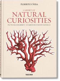 Cabinet of Natural Curiosities / Das Naturalienkabinett / Le Cabinet des Curiosites Naturelles