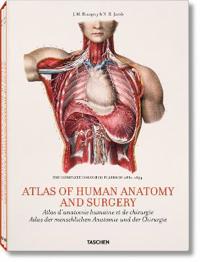 Bourgery, Atlas of Anatomy