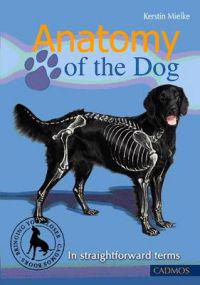 Anatomy of the Dog
