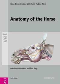 Anatomy of the Horse, Sixth Edition