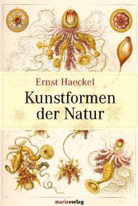 Kunstformen der Natur