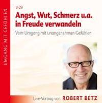 Angst, Wut, Schmerz u.a. in Freude verwandeln