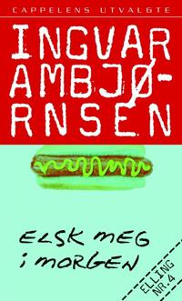 Elsk meg i morgen; roman