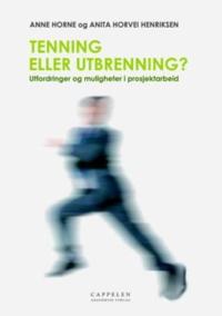 Tenning eller utbrenning?; utfordringer og muligheter i prosjektarbeid
