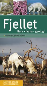 Fjellet; flora, fauna, geologi