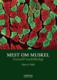 Mest om muskel; essensiell muskelbiologi