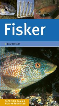 Fisker; enkel og sikker artsbestemmelse