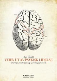 Veien ut av psykisk lidelse; erfaringer, bedringsprosesser og medborgerskap