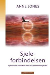 Sjeleforbindelsen; gjenopprett kontakten med ditt guddommelige selv
