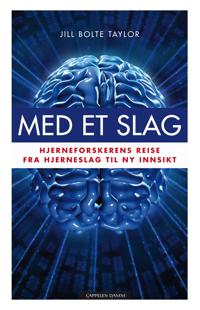 Med et slag; hjerneforskerens reise fra hjerneslag til ny innsikt