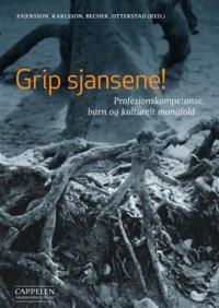 Grip sjansene!; profesjonskompetanse, barn og kulturelt mangfold